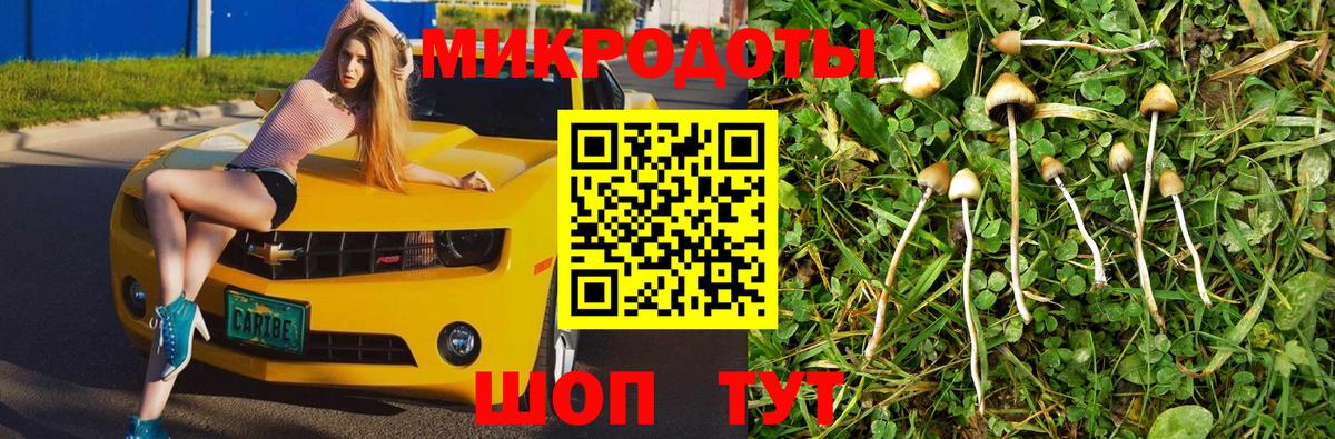 Псилоцибиновые грибы мухоморы Ивантеевка