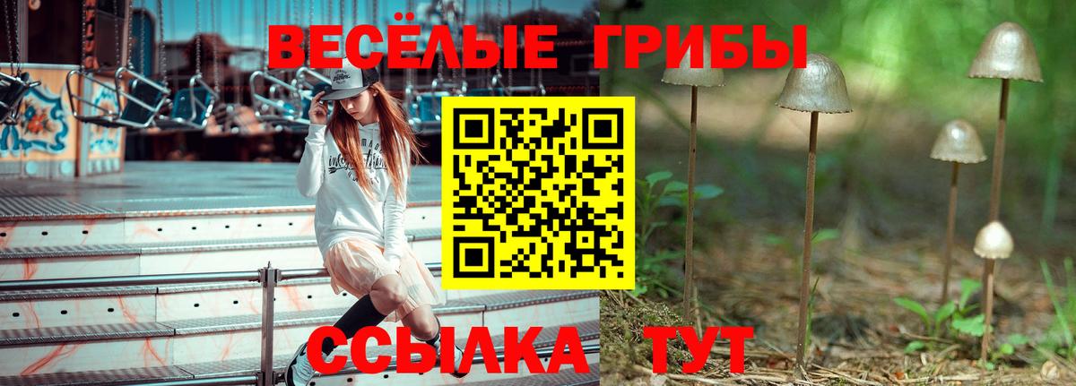 Галлюциногенные грибы мухоморы  Вход с VPN  купить   Ивантеевка  Псилоцибиновые грибы Magic Shrooms 