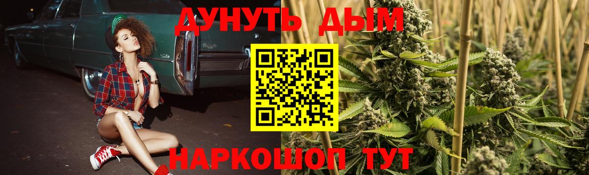 Бошки Шишки семена Ивантеевка